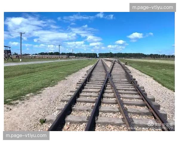 奥斯维圭底线覆盖面积 美国选手移动能力保障防守质量 奥斯维圭底线覆盖面积 美国选手移动能力保障防守质量